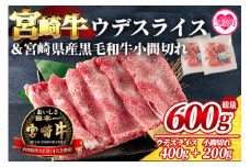 【数量限定】＜宮崎牛ウデスライス400gと宮崎県産和牛小間切れ200g 総量600g＞【MI142-my】【ミヤチク】