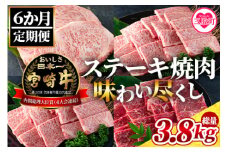 【数量限定】＜【定期便6ヶ月】総重量3.8kgの宮崎牛ステーキ焼肉味わい尽くし＞国産ブランド牛 牛肉 おすすめ 黒毛和牛 国産牛肉 和牛 人気 コスパ 定期便 量が多い 焼肉用 ステーキ【MI148-my】【ミヤチク】