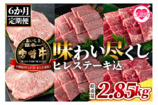 【数量限定】＜【定期便6ヶ月】総重量2.85kgの宮崎牛味わい尽くし（ヒレステーキ込）＞国産ブランド牛 牛肉 おすすめ 黒毛和牛 国産牛肉 和牛 人気 コスパ 定期便 量が多い 焼肉用 ステーキ【MI158-my】【ミヤチク】