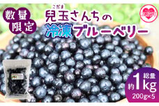 ＜【数量限定】手摘み兒玉さんちの冷凍ブルーベリー 小分けパック200g×5袋＞ なくなり次第終了 総量1kg フルーツ ヨーグルト トッピング スムージー チーズケーキ お菓子 スイーツ 国産 九州産 果物 手摘み 無農薬 無肥料栽培 冷凍 食品【MI180-bk】【ベーカリー梅茂登】