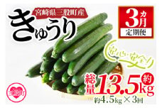 ＜【3ヵ月定期便】【期間限定】パリッと甘い魔法のきゅうり マジキュー約4.5kg×3回＞(総量約13.5kg・約4.5kg×3回)パリッと甘い魔法のキュウリ「マジキュー」漬物や天ぷらに！きゅうり 野菜 国産 胡瓜 促成栽培 キュウリ キューリ ハート形 星型 詰め合わせ 漬物 ピクルス 天ぷら【MI200-yt】【ゆたか農園】
