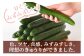 甘くてみずみずしい！
