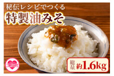 ＜秘伝レシピでつくる特製油みそ 約1.6kg(400g×4P)＞   味噌 ミソ 調味料 ご飯のお供 おにぎり おつまみ【MI202-ad】【安藤ストアー】