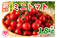 【期間・数量限定】＜【訳あり】ミニトマト 1.8kg以上！＞ 簡易包装 不揃い 宮崎県三股町産 野菜 国産 とまと ネネ 産地直送 リコピン【MI206-ki】【上石農園】