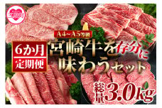 ＜【定期便6か月】宮崎牛を存分に味わうセット 総量3.0kg＞国産ブランド牛 牛肉 おすすめ 黒毛和牛 国産牛肉 和牛 人気 コスパ 定期便 量が多い A4 A5 柔らかくきめ細かい肉質と適度な霜降りの入った美味しい牛肉でステーキ、すき焼き、焼肉、BBQをご堪能下さい！【MI231-nh】【日本ハムマーケティング株式会社】