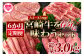 【定期便6ヶ月】宮崎牛を存分に味わうセット 総量3.0kg