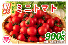 【期間・数量限定】＜【訳あり】ミニトマト 900g以上！＞ 簡易包装 不揃い 宮崎県三股町産 野菜 国産 とまと ネネ 産地直送 リコピン【MI276-ki】【上石農園】