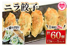 【数量限定！】＜ニラ餃子(12ヶ入×5パック)＞ ギョウザ ぎょうざ ギョーザ にら 韮 冷凍 惣菜 弁当 焼くだけ おつまみ 簡単調理 中華 グルメ 【MI285-fu】【福栄生餃子店】
