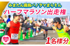 【※オンライン決済限定※】【2026年分】＜第9回みまたん霧島パノラマまらそんハーフマラソン出走権(1名様分)＞宮崎県 三股 マラソン ランナー スポーツ 運動 出走参加権 参加 体験チケット 自然【MI281-pm】【みまたん霧島パノラマまらそん実行委員会】