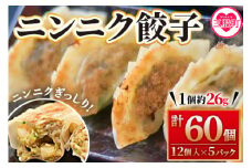 【数量限定！】＜ニンニク餃子(12ヶ入×5パック)＞ ギョウザ ぎょうざ ギョーザ にんにく 大蒜 冷凍 惣菜 弁当 焼くだけ おつまみ 簡単調理 中華 グルメ 【MI282-fu】【福栄生餃子店】