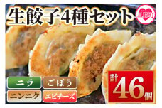 【数量限定！】<福栄生餃子店餃子4種(ニラ・ごぼう・ニンニク・エビチーズ)セット> ギョウザ ぎょうざ ギョーザ にら ゴボウ にんにく 大蒜 えび 海老 チーズ 食べ比べ 冷凍 惣菜 弁当 おつまみ 簡単調理 【MI286-fu】【福栄生餃子店】