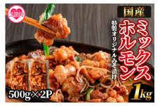 【数量限定】＜国産牛ミックスホルモン みそ漬 合計1kg(500g×2パック)＞国産 牛肉 肉 ホルモン モツ 大腸 冷凍 焼肉 BBQ もつ鍋 煮込み 小分け 焼くだけ 簡単 タレ漬け 簡易包装【MI288-hr】【肉の豊楽】