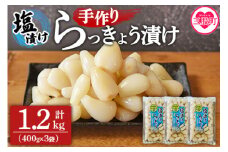 ＜手づくりらっきょう 400g×3袋セット＞ラッキョウ 辣韭 漬物 国産 宮崎県産 らつきょう ラッキョウ 辣韭 おつまみ 肴 ご飯のおとも 野菜 旬 漬物 国産 宮崎県産 九州産 【MI321-ko】【株式会社上沖産業】