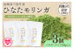 宮崎県三股町産モリンガ使用「ひなたモリンガ」パウダー(計150g・50g×3個)