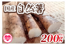 【数量限定】 ＜自然薯200g以上＞国産 じねんじょ やまいも 山芋 とろろ 野菜 健康食材 とろろ汁 山かけ お好み焼き 味噌汁【MI304-fd】【福田屋】