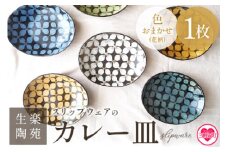 ＜スリップウェアのカレー皿 1枚 花柄 色おまかせ＞温かみの感じられるお皿！ 国産 日本製 陶器 工芸品 陶芸品 焼物 食器 お皿 うつわ 盛り皿 取り皿 電子レンジ可能 日用品 ギフト 贈り物 プレゼント【MI252-kr-1】【生楽陶苑】