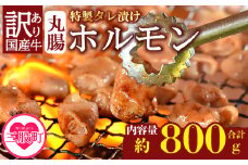  ＜【訳あり】国産牛ホルモン丸腸（特製タレ漬け）　計800g(400g×2袋)＞丸腸を秘伝の特製タレに漬け込みました！ 国産牛ホルモン 国産 牛肉 肉 ホルモン モツ 丸腸 マルチョウ 冷凍 焼肉 焼き肉 BBQ もつ鍋 煮込み 小分け 焼くだけ 簡単 冷凍食品 小分けパック【MI425-nk】【中村食肉】