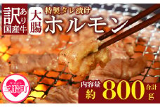 ＜【訳あり】国産牛ホルモン大腸（特製タレ漬け）計800g(400g×2袋)＞大腸を秘伝の特製タレに漬け込みました！ 国産牛ホルモン 国産 牛肉 肉 ホルモン モツ 大腸 ダイチョウ 冷凍 焼肉 焼き肉 BBQ もつ鍋 煮込み 小分け 焼くだけ 簡単 冷凍食品 小分けパック【MI427-nk】【中村食肉】