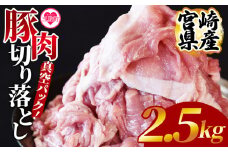 ＜宮崎県産豚肉切り落とし2.5kg 真空パック＞ 国産 豚 ぶた肉 ぶた 精肉 肉 切落し 小分け 個包装 使い勝手 料理 豚丼 豚汁 おかず 【MI448-hr】【肉の豊楽】