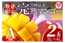 【期間数量限定】2025年5月より順次発送＜宮崎県産完熟マンゴー 3L～4L 2玉＞国産 宮崎 マンゴー 完熟 旬 果物 フルーツ セット 等級A 階級3L〜4L 冷蔵配送 果実【B-0602-yk-x1】【みまたんよかもん協同組合】【ふるさと納税】