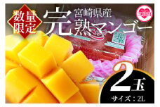 【期間数量限定】2025年5月より順次発送＜宮崎県産完熟マンゴー 2L 2玉入＞国産 九州 宮崎 マンゴー 完熟 旬 夏 果物 フルーツ セット 冷蔵配送 果実 ごほうび ご褒美【MI232-yk-x1】【みまたんよかもん協同組合】【ふるさと納税】 