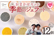 ＜おまかせセット 季節のジェラート 12個＞ お店セレクト フレーバー お任せ 宮崎県 三股町 スイーツ アイス ヘルシー おやつ 菓子 お菓子 洋菓子 おたのしみ お楽しみ プレゼント ギフト 贈答用 クリスマス ご当地 母の日 フローズン 氷菓 ジェラート アイスクリーム 【MI543-ci】【Ciao Gelateria】