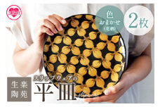 ＜スリップウェアの平皿 2枚 花柄、色おまかせ＞ 国産 日本製 陶芸品 工芸品 陶器 食器 お皿 うつわ ケーキ皿 取り皿 食パン 電子レンジ可能 日用品 ギフト 贈り物 プレゼント 父の日 母の日 おしゃれ 【MI548-kr】【生楽陶苑】