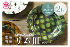 ＜スリップウェアのリム皿 2枚 花柄、色おまかせ＞ 国産 日本製 陶芸品 工芸品 陶器 食器 お皿 うつわ 汁物 取り皿 スープ 電子レンジ可能 日用品 ギフト 贈り物 プレゼント 父の日 母の日 おしゃれ【MI550-kr】【生楽陶苑】