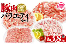 ＜豚肉バラエティセット 約3.8kg＞ 宮崎県産 バラエティー 国産 ぶたにく お肉 ブタ 精肉 切り落し こま 小間切れ 豚コマ バラ肉 使いやすい 小分けパック 冷凍食品 保存 切り身 スライス おかず お弁当 惣菜 ポークカレー 肉じゃが 料理 アレンジ 【MI465-tr】【TRINITY】