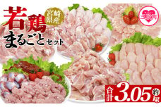 ＜宮崎県産若鶏まるごとセット 約3.05kg＞ 国産 鶏 肉 精肉 モモ もも肉 使いやすい 小分けパック 冷凍食品 真空冷凍 切り身 選べる数量 お弁当 惣菜 からあげ 照り焼き 数量限定 BBQ バーベキュー 鶏ムネ 鶏むね 鳥モモ ささみ ササミ 【MI443-tr】【TRINITY】