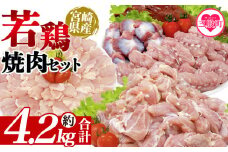 ＜宮崎県産若鶏焼肉セット 約4.2kg＞ 国産 鶏 肉 精肉 モモ もも肉 使いやすい 真空冷凍 切り身 選べる数量 お弁当 惣菜 からあげ 照り焼き 数量限定 BBQ バーベキュー セセリ せせり レバー 砂肝 肝 てば 手羽中 小分けパック 冷凍食品 【MI445-tr】【TRINITY】