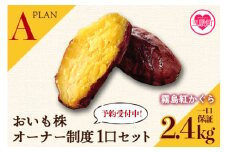 【期間限定】＜【Ａ】おいも株オーナー制度1口セット2株 霧島紅かぐら（最低2.4kg保証）＞12月中旬頃に熟成されたさつまいもをお届け！きりしまべにかぐら サツマイモ 芋 権利書 チケット 体験 苗植会 収穫祭【MI106-sh-t】【株式会社育みの里しろはと】