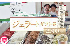 ＜ジェラートギフト券5枚 2,500円分＞ 5回分 お食事券 チケット 外食 宮崎県 三股町 スイーツ アイス ヘルシー おやつ 菓子 お菓子 洋菓子 おたのしみ お楽しみ ギフト プレゼント チャオジェラテリア フローズン 氷菓 ジェラート アイスクリーム 【MI625-ci】【Ciao Gelateria】