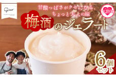 ＜梅酒のジェラート 6個セット＞ フレーバー お酒入り 3% 5% アルコール うめ スイーツ アイス ヘルシー おやつ 菓子 お菓子 洋菓子 デザート 氷菓 お楽しみ プレゼント ギフト 贈答用 酒 梅 大人の贅沢 シャーベット フローズン 氷菓 ジェラート アイスクリーム   【MI616-ci】【Ciao Gelateria】