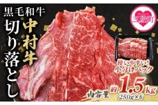 ＜黒毛和牛 中村牛切り落とし 合計1.5kg(250g×6)＞ 国産 九州産 脂身 牛肉 赤身 すき焼き 牛丼 肉じゃが プルコギ 煮込み 使いやすい 小分け 便利 こま切れ 牛こま コマ 小間 薄切り お肉 冷凍【MI643-jc】【Jコーポレーション】