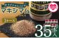 マキシマム3本セット