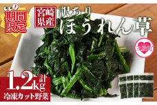 【期間限定特別企画】＜【訳あり】冷凍ホウレンソウ 工場直送簡易包装 小分けパック150g×8袋＞冷凍野菜 カット野菜 小分け ホウレンソウ ストック 冷凍食品 時短 国産九州産 簡単 料理 調理 アレンジ 夕食 和食 和え物 お弁当 おかず 副菜 ほうれん草 【MI546-bk-cam】【ベーカリー梅茂登】