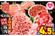 【期間限定特別企画】＜【生活応援】宮崎県産 味彩豚 豚肉バラエティセット 約4.5kg＞ 【レビューキャンペーン】ぶた ブタ 切り落とし 豚こま ローススライス 生姜焼き しゃぶしゃぶ 豚ミンチ ハンバーグ 野菜炒め 餃子 煮込み 炒め物 たっぷり料理 【MI634-tr-cam】【TRINITY】