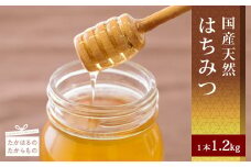 高原町産天然はちみつ 1.2kg(600g×1本) 国産のおいしい蜂蜜 ワンストップオンライン対応 TF0269-P00011