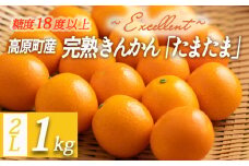 【数量・期間限定】完熟きんかん《糖度18度以上》「たまたまエクセレント」2Lサイズの金柑 1kg [季節限定 フルーツ 産地直送 産直 果物 柑橘類 ワンストップオンライン] TF0051-P00015