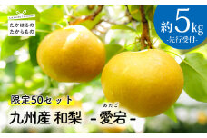 【先行受付・限定50箱】九州産和梨「愛宕(あたご)」5kg [季節限定 期間限定 果物 フルーツ 国産 日本産 ワンストップオンライン] TF0312-P00025