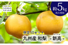 【先行受付・限定50箱】九州産 和梨「新高(にいたか)」 5kg [季節限定 期間限定 果物 フルーツ 国産 日本産 ワンストップオンライン] TF0313-P00025