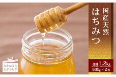 高原町産天然はちみつ 1.2kg(600g×2本) 国産のおいしい蜂蜜 ワンストップオンライン対応 TF0364-P00011