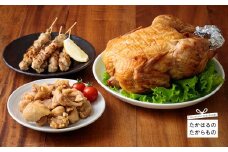 《4人前～5人前》能勢どんのパーティセット(冷蔵)[炭火焼き 串焼き 焼き鳥 焼鳥 やきとり から揚げ 唐揚げ からあげ 時短調理 簡単調理 九州産若鳥 お惣菜 レンチン クリスマス パーティ ワンストップオンライン] TF0369-P00016