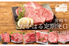 国産ブランド牛の定期便『宮崎牛たかはる定期便G』(12回) [黒毛和牛を12ヶ月毎月配送 国産牛 牛肉 お肉 ワンストップオンライン] TF0400-P00020