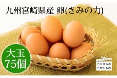 宮崎県産の赤たまご『きみの力(チカラ)』大容量75個Lサイズの赤卵 ミネラルたっぷりのカキガラや上質な飼料ですくすく育った鶏の卵は甘くておいしい逸品 [新鮮 たまご L玉 玉子 大玉 10000円 1万円 ワンストップオンライン] TF0406-P00035