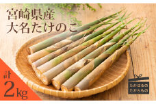 【数量限定・先行受付】《旬の味わい》宮崎県高原町産「大名たけのこ」約2kg 国産の筍をお届け! [ワンストップオンライン対応] TF0409-P00036