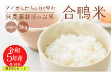廃番【令和6年産先行受付】無農薬栽培 合鴨米ひのひかり5kg [ワンストップオンライン] TF0423-P00029