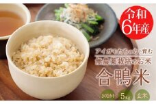 【令和6年産】無農薬栽培 合鴨米ひのひかり(玄米)5kg ワンストップオンライン対応 TF0424-P00029
