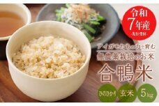 【先行受付】【令和7年産】無農薬栽培 合鴨米ひのひかり(玄米)5kg ワンストップオンライン対応 TF0424-P00029